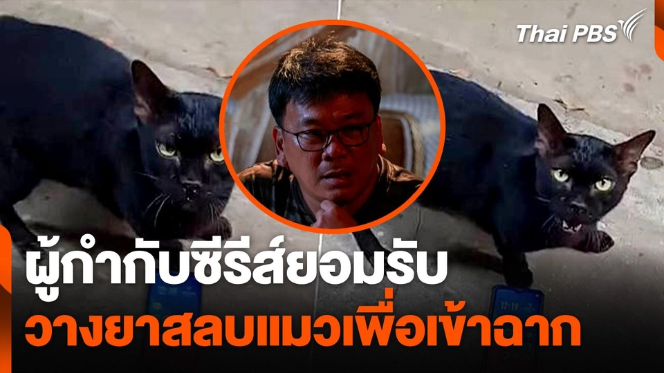 ผู้กำกับซีรีส์ยอมรับ วางยาสลบแมวเพื่อเข้าฉาก