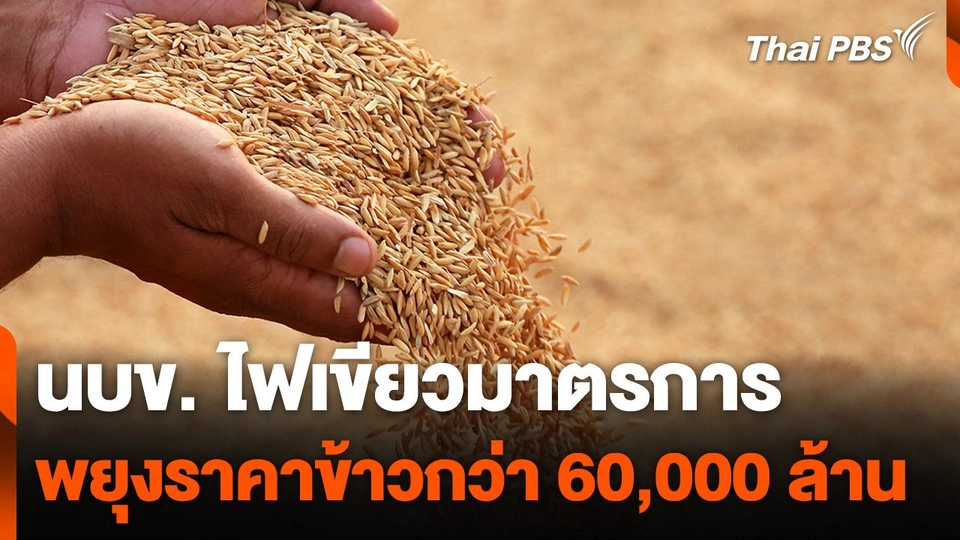 นบข. ไฟเขียวมาตรการพยุงราคาข้าวกว่า 60,000 ล้าน