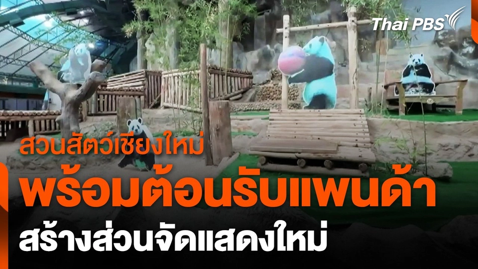 ​สวนสัตว์เชียงใหม่ เตรียมสร้างส่วนจัดแสดงแพนด้าแห่งใหม่