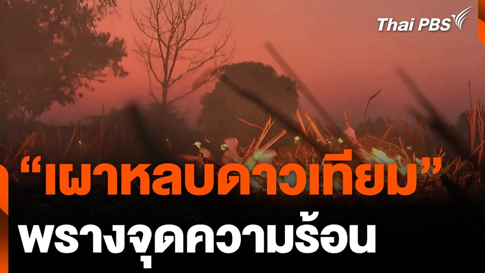 โซเชียลมีเดียตั้งคำถาม "เผาหลบดาวเทียม" พรางจุดความร้อน
