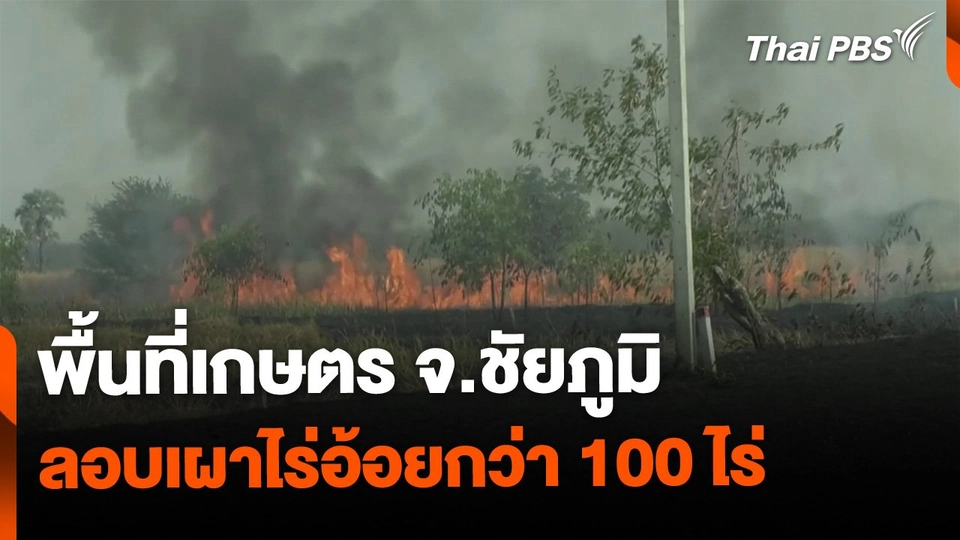 ลักลอบเผาไร่อ้อยกว่า 100 ไร่ จ.ชัยภูมิ