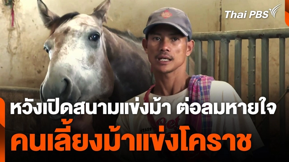 หวังเปิดสนามแข่งม้า ต่อลมหายใจคนเลี้ยงม้าแข่งโคราช