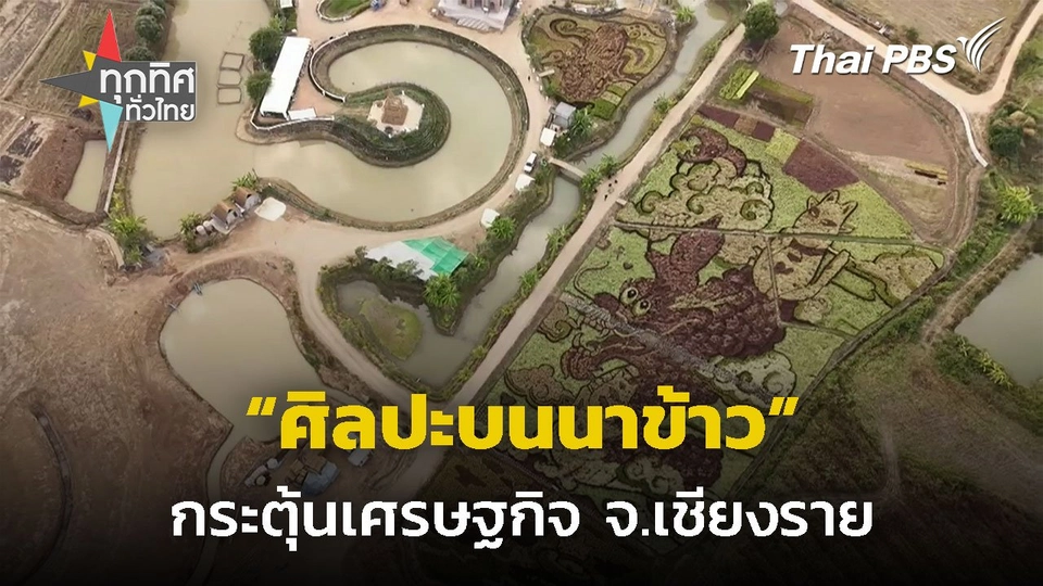 สร้างสรรค์ผลงานศิลปะบนนาข้าว จ.เชียงราย