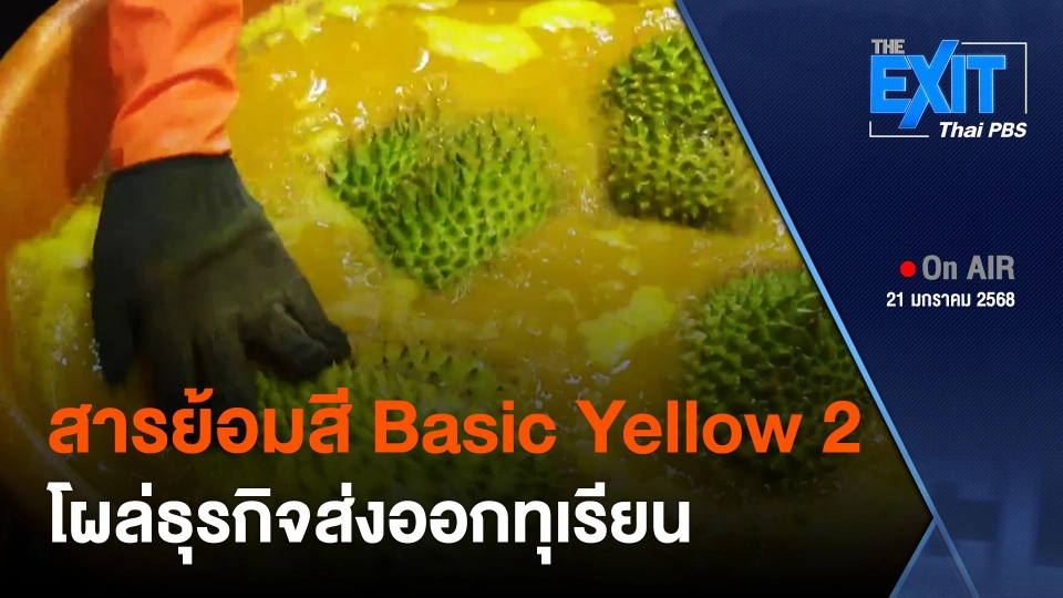 เปิดตัวเลขนำเข้าสารย้อมสี Basic Yellow 2 โผล่ธุรกิจส่งออกทุเรียน