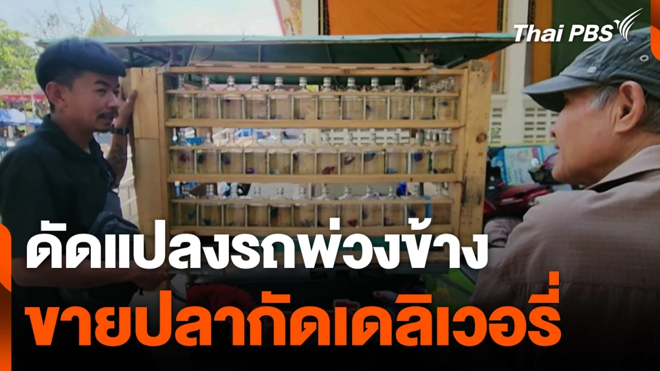 ดัดแปลงรถพ่วงข้าง ขายปลากัดเดลิเวอรี่