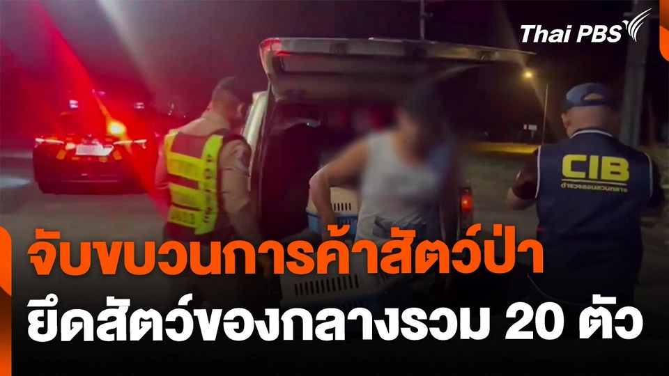 จับขบวนการค้าสัตว์ป่า ยึดสัตว์รวม 20 ตัว