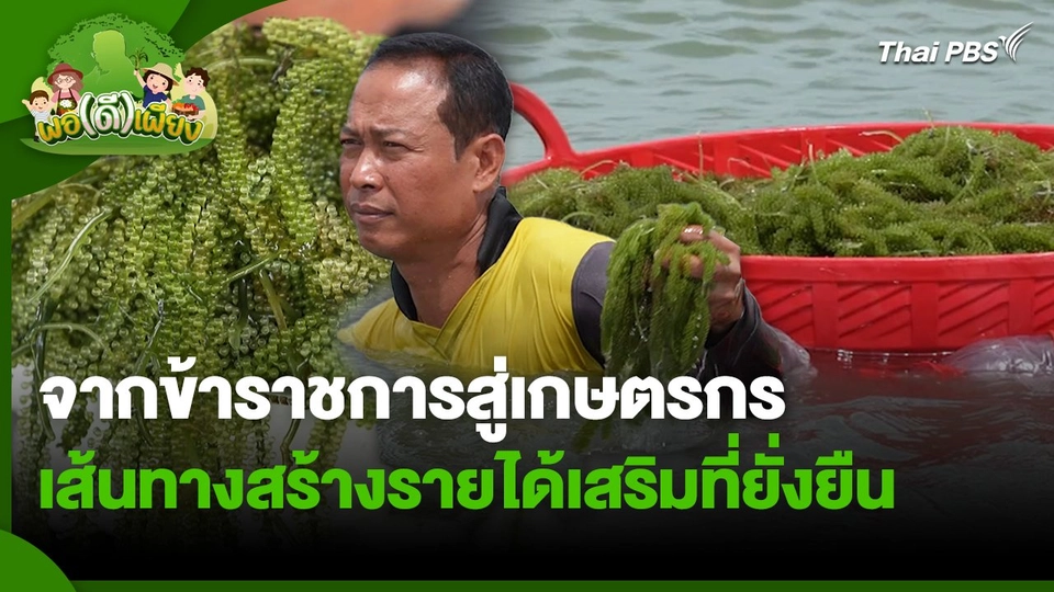 พอดีพอเพียง : จากข้าราชการสู่เกษตรกร เส้นทางสร้างรายได้เสริมที่ยั่งยืน