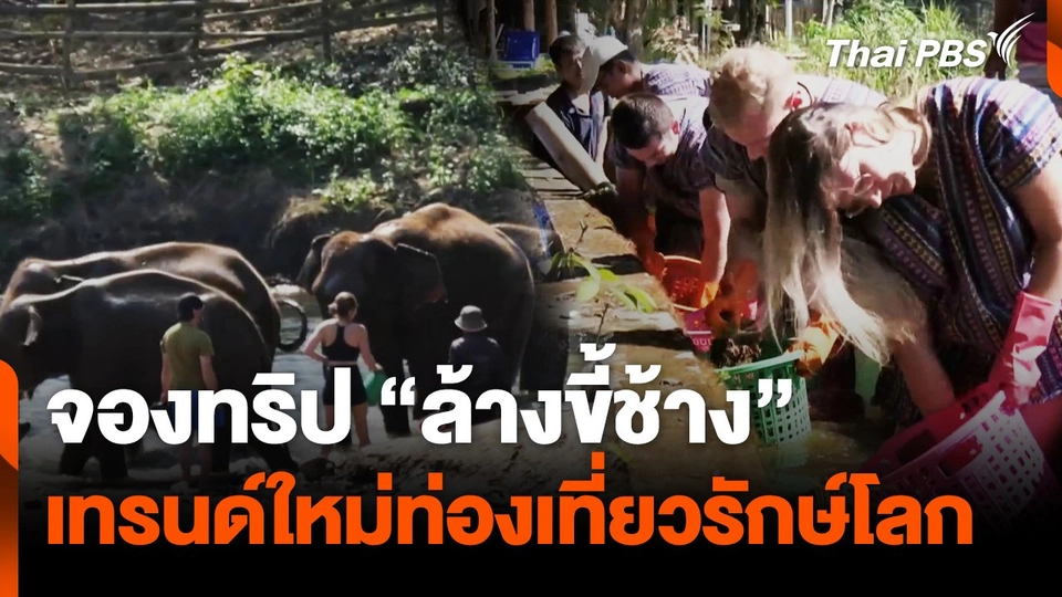 จองทริป "ล้างขี้ช้าง" เทรนด์ใหม่ท่องเที่ยวรักษ์โลก