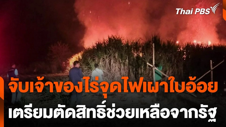 จับเจ้าของไร่จุดไฟเผาใบอ้อย เตรียมตัดสิทธิ์ช่วยเหลือจากรัฐ