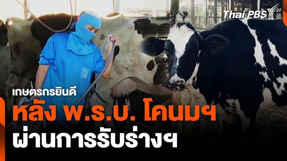 เกษตรกรยินดี หลัง พ.ร.บ.โคนมฯ ผ่านการรับร่างฯ