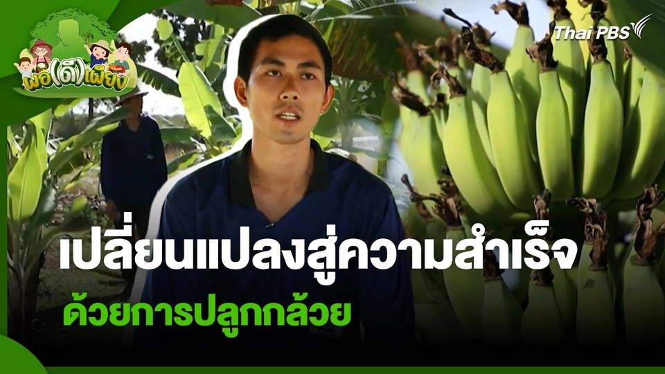 พอดีพอเพียง : เปลี่ยนแปลงสู่ความสำเร็จด้วยการปลูกกล้วย