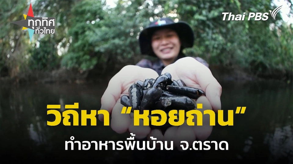 วิถีหา "หอยถ่าน" ทำอาหารพื้นบ้าน จ.ตราด