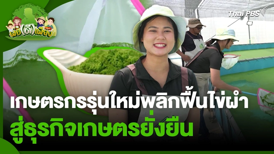 พอดีพอเพียง : เกษตรกรรุ่นใหม่พลิกฟื้นไข่ผำ สู่ธุรกิจเกษตรยั่งยืน