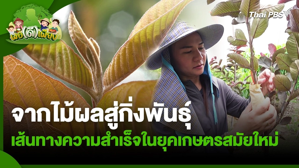 พอดีพอเพียง : จากไม้ผลสู่กิ่งพันธุ์ เส้นทางความสำเร็จในยุคเกษตรสมัยใหม่