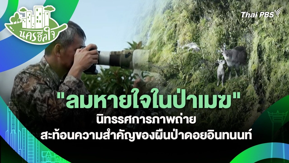 นครฮีลใจ : "ลมหายใจในป่าเมฆ" นิทรรศการภาพถ่ายสะท้อนความสำคัญของผืนป่าดอยอินทนนท์