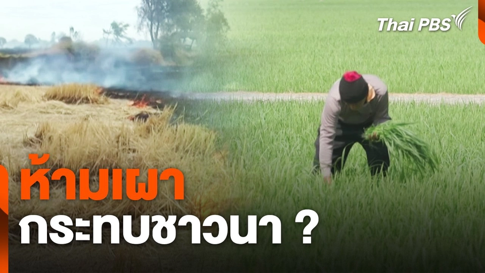 สถานีร้องเรียน : ห้ามเผา กระทบชาวนา ?