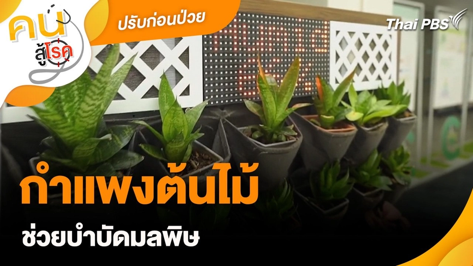 กำแพงต้นไม้ช่วยบำบัดมลพิษ : ปรับก่อนป่วย
