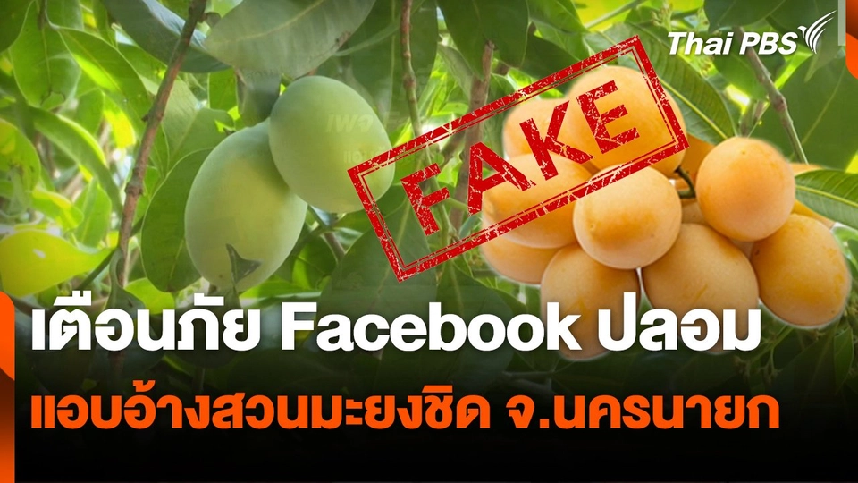 สถานีเตือนภัยออนไลน์ : เตือนภัย Facebook ปลอม แอบอ้างสวนมะยงชิด จ.นครนายก