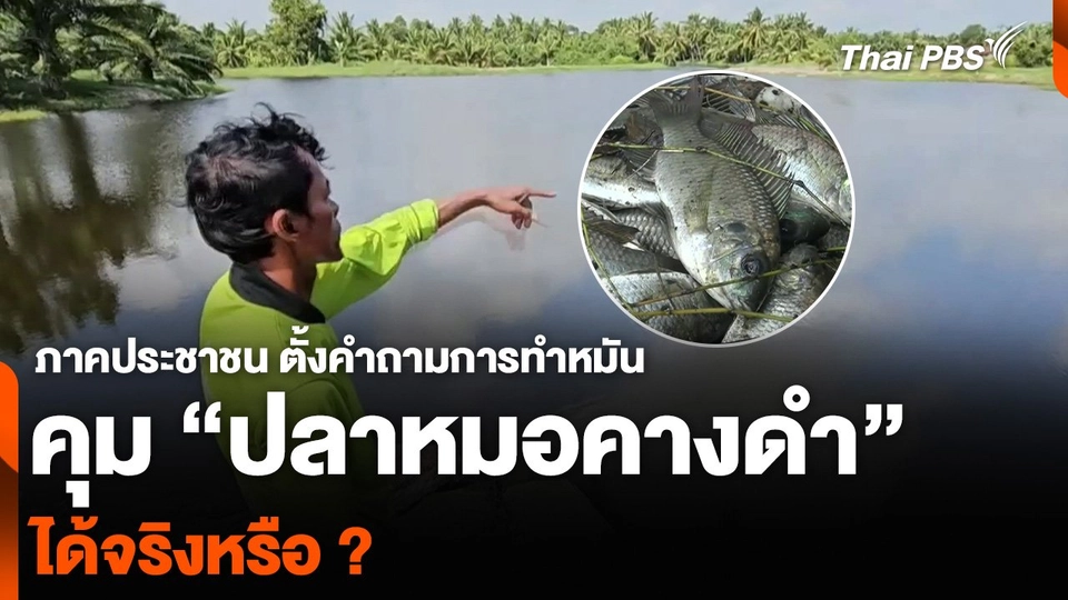 ภาคประชาชน ตั้งคำถามการทำหมัน คุม “ปลาหมอคางดำ” ได้จริงหรือ ?