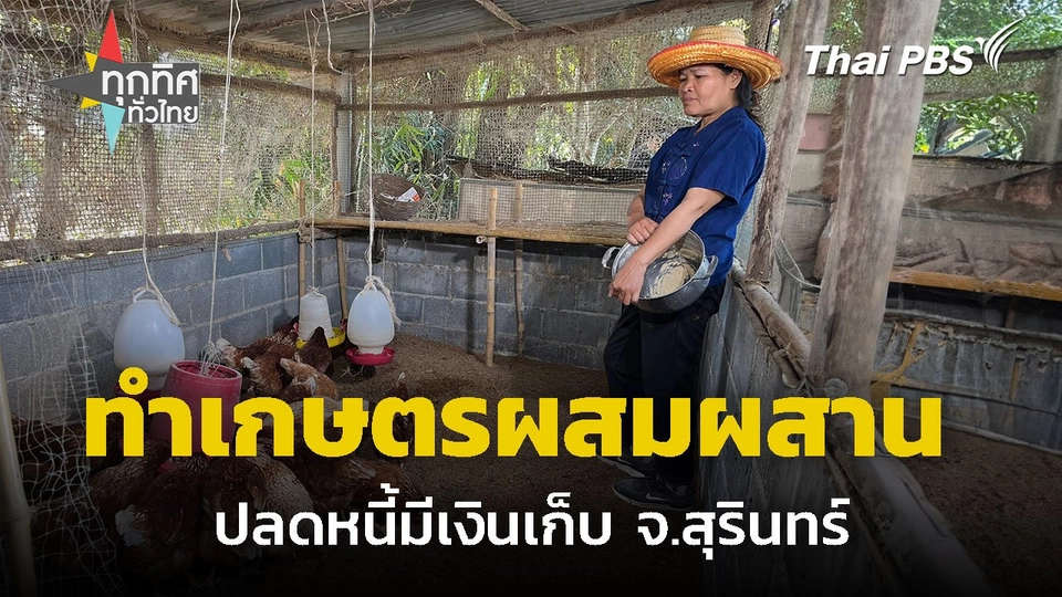 ทำเกษตรผสมผสาน ปลดหนี้มีเงินเก็บ จ.สุรินทร์