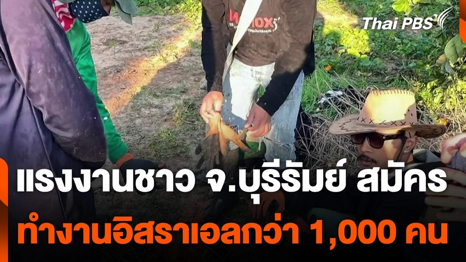แรงงานชาว จ.บุรีรัมย์ สมัครไปทำงานอิสราเอลกว่า 1,000 คน