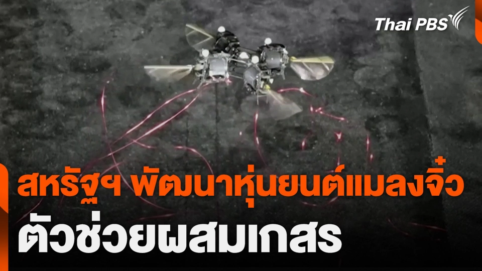 สหรัฐฯ พัฒนาหุ่นยนต์แมลงจิ๋ว ตัวช่วยผสมเกสร