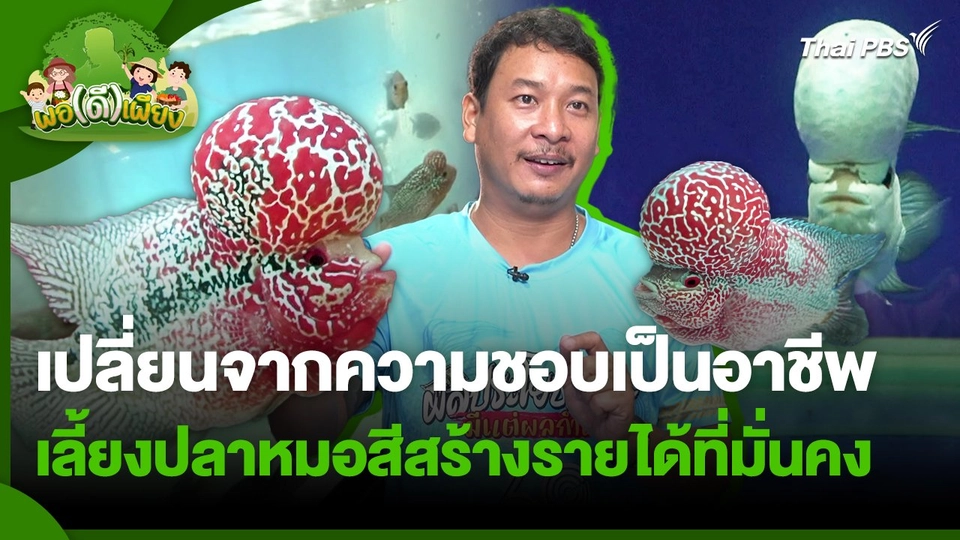 พอดีพอเพียง : เปลี่ยนจากความชอบเป็นอาชีพ เลี้ยงปลาหมอสีสร้างรายได้ที่มั่นคง