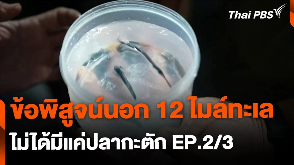 ข้อพิสูจน์นอก 12 ไมล์ทะเล ไม่ได้มีแค่ปลากะตัก EP.2/3