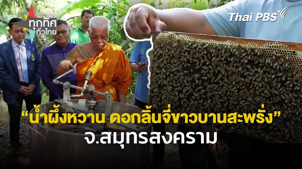 "น้ำผึ้งหวาน ดอกลิ้นจี่ขาวบานสะพรั่ง" จ.สมุทรสงคราม