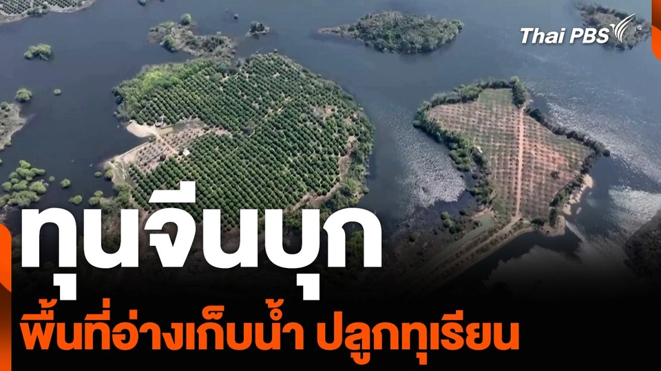 ทุนจีนบุกพื้นที่อ่างเก็บน้ำ ปลูกทุเรียน