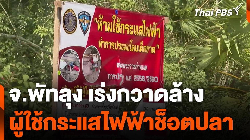 เร่งกวาดล้างผู้ใช้กระแสไฟฟ้าช็อตปลา จ.พัทลุง