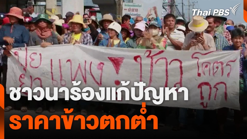ชาวนาร้องแก้ปัญหา ราคาข้าวตกต่ำ