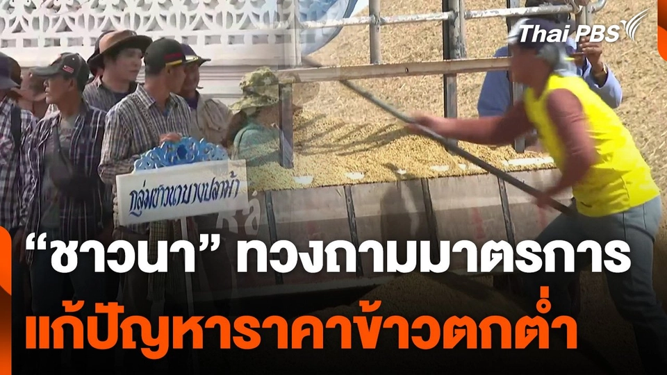 "ชาวนา" ทวงถามมาตรการแก้ปัญหาราคาข้าวตกต่ำ