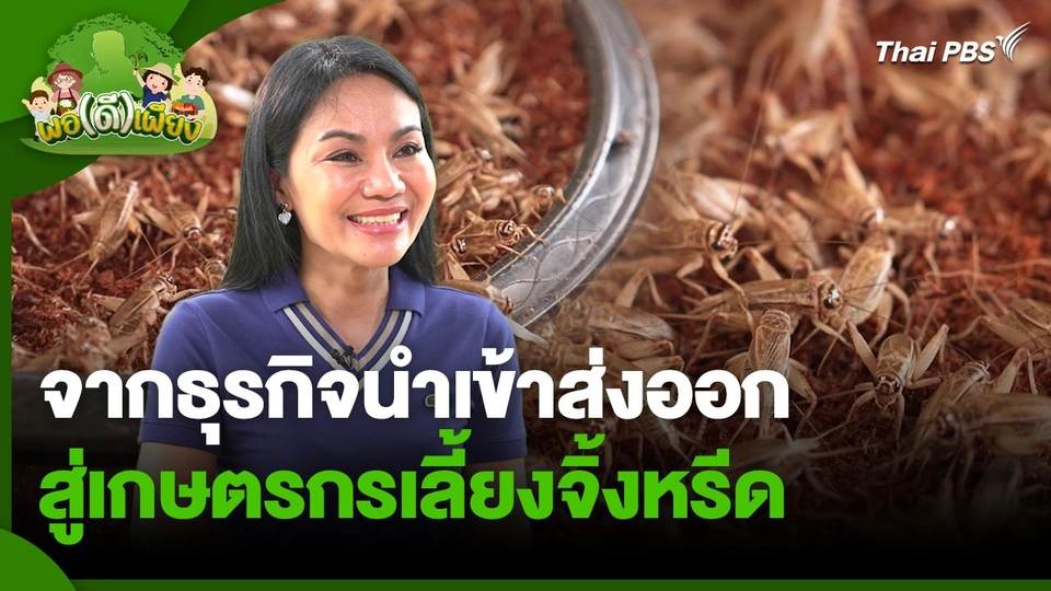 พอดีพอเพียง : จากธุรกิจนำเข้าส่งออก สู่เกษตรกรเลี้ยงจิ้งหรีด