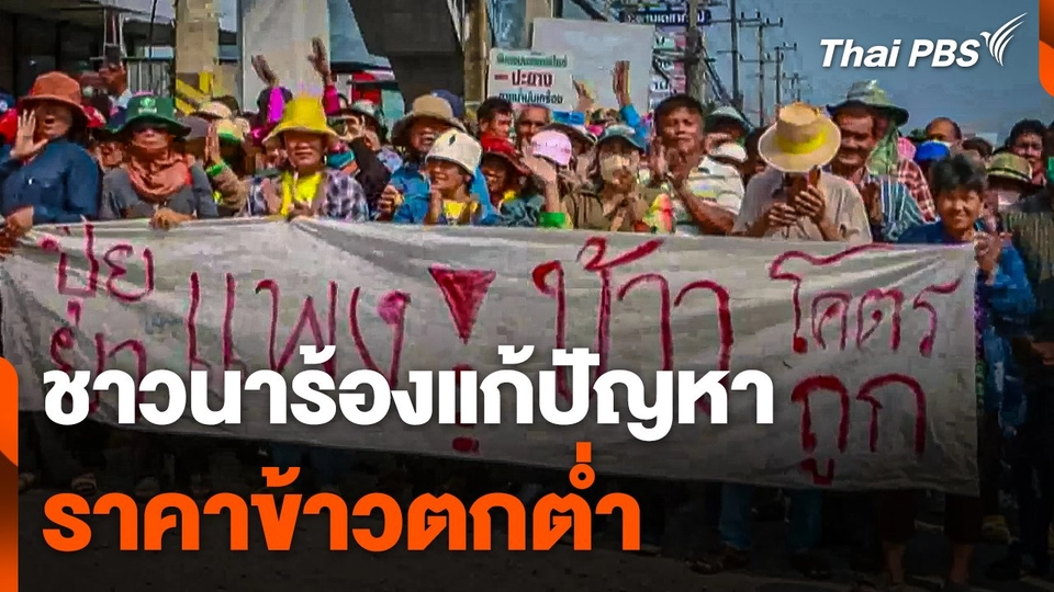 เดือดร้อน ! ชาวนาร้องแก้ปัญหาราคาข้าวตกต่ำ