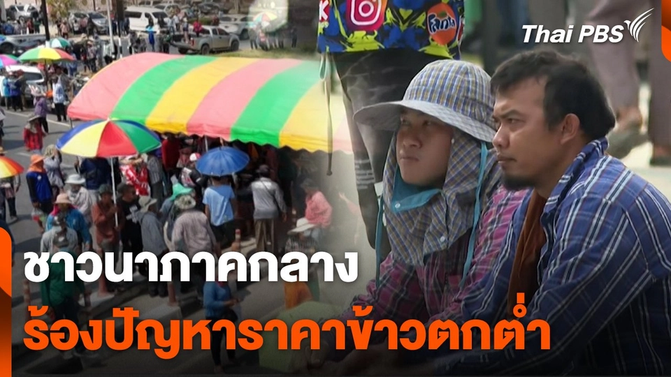 สถานีร้องเรียน : ชาวนาภาคกลางร้องปัญหาราคาข้าวตกต่ำ