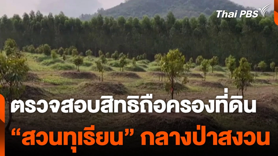 ตรวจสอบสิทธิ ถือครองที่ดิน “สวนทุเรียน” กลางป่าสงวน