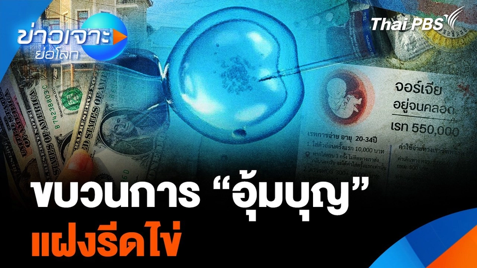 ขบวนการอุ้มบุญแฝงรีดไข่