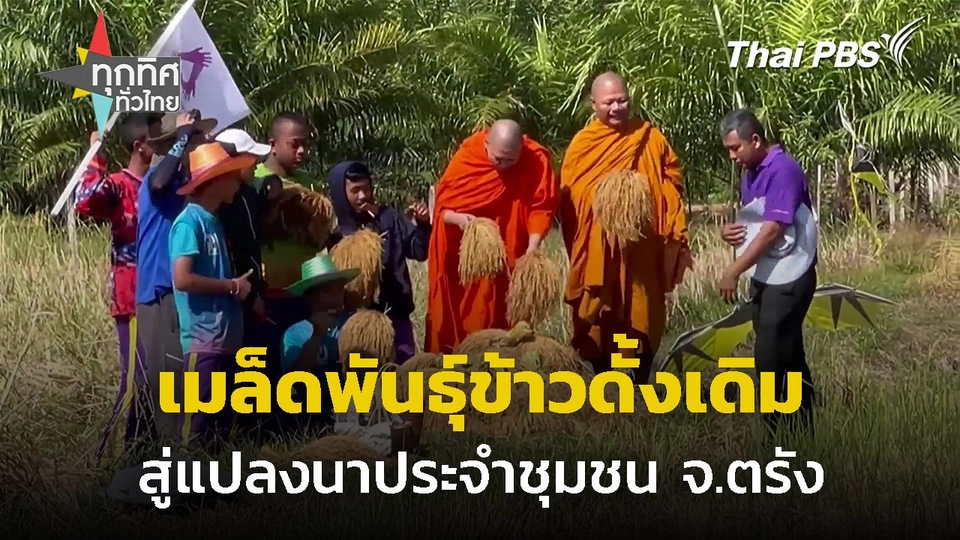 นำเมล็ดพันธุ์ข้าวดั้งเดิมสู่แปลงนา จ.ตรัง