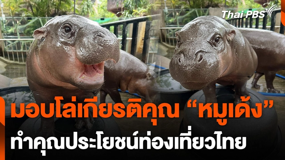 มอบประกาศโล่เกียรติคุณ "หมูเด้ง" ทำคุณประโยชน์ท่องเที่ยวไทย