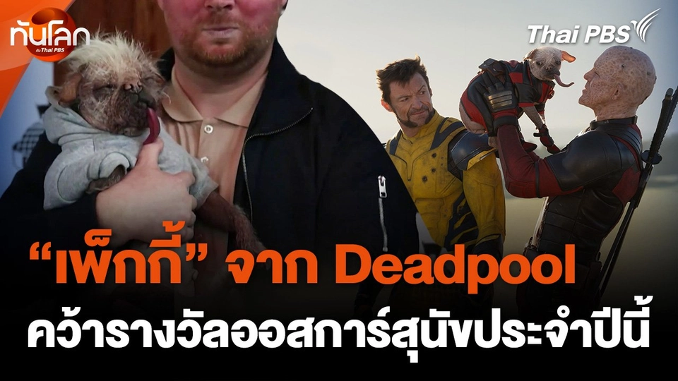 "เพ็กกี้" คว้ารางวัล "ออสการ์สุนัข" ประจำปีนี้