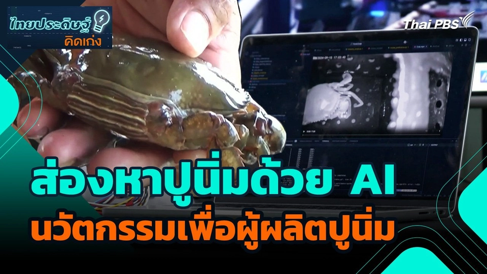 ไทยประดิษฐ์คิดเก่ง : ส่องหาปูนิ่มด้วย AI นวัตกรรมเพื่อผู้ผลิตปูนิ่ม