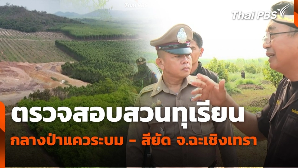 สถานีร้องเรียน : ตรวจสอบสวนทุเรียนกลางป่าแควระบม - สียัด จ.ฉะเชิงเทรา
