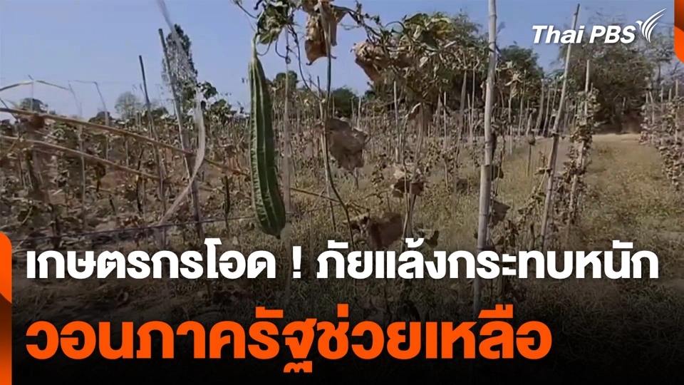 เกษตรกรโอด ! ภัยแล้งกระทบหนัก วอนภาครัฐช่วยเหลือ