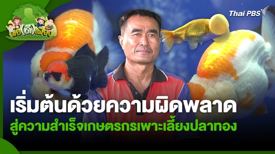 พอดีพอเพียง : เริ่มต้นด้วยความผิดพลาด สู่ความสำเร็จเกษตรกรเพาะเลี้ยงปลาทอง