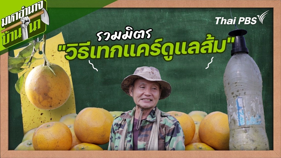 สูตรลับฉบับบ้านนา : รวมมิตร "วิธีเทกแคร์ดูแลส้ม"