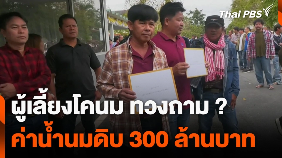 ผู้เลี้ยงโคนม ทวงถาม ? ค่าน้ำนมดิบ 300 ล้านบาท