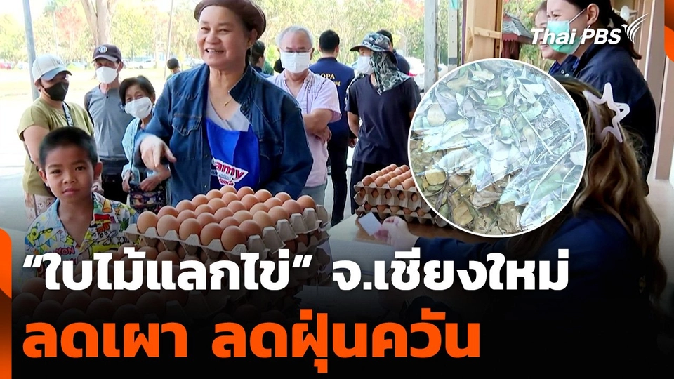 “ใบไม้แลกไข่” จ.เชียงใหม่ ลดเผา ลดฝุ่นควัน