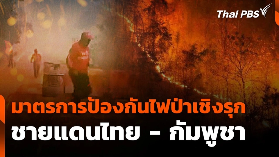 สถานีร้องเรียน : มาตรการป้องกันไฟป่าเชิงรุก ชายแดนไทย - กัมพูชา