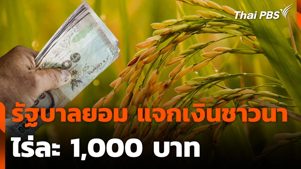 รัฐบาลถอย ! ยอมแจกเงินชาวนา ไร่ละ 1,000 บาท
